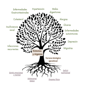 Las bases de la fitoterapia Curso con registro