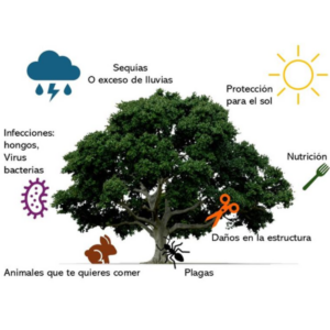 PRINCIPIOS ACTIVOS DE LA PLANTAS